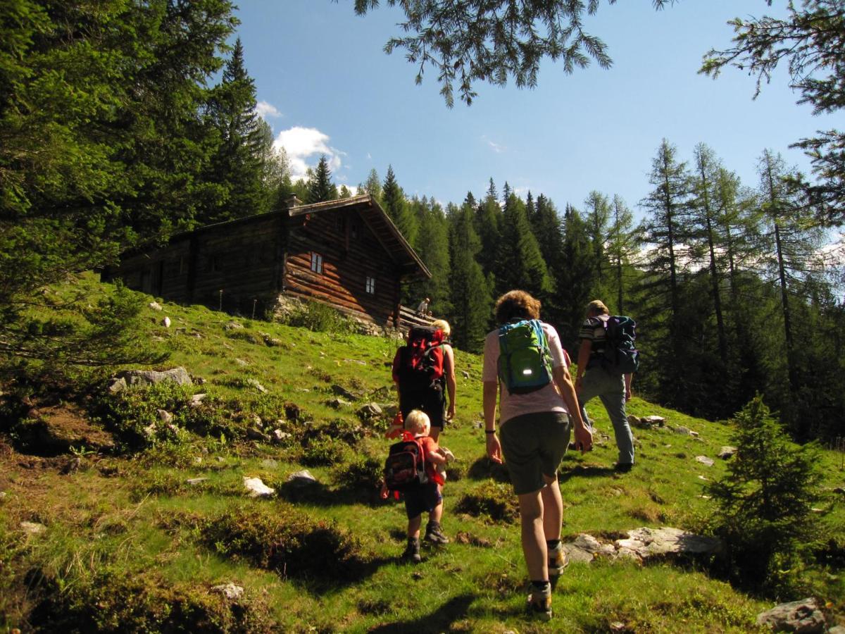 Villa Ampferkaralm Hütte Forstau  Exterior foto